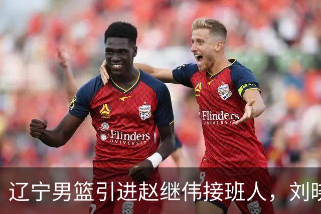 辽宁男篮引进赵继伟接班人，刘晓宇回归北控，广东补强内线遇阻